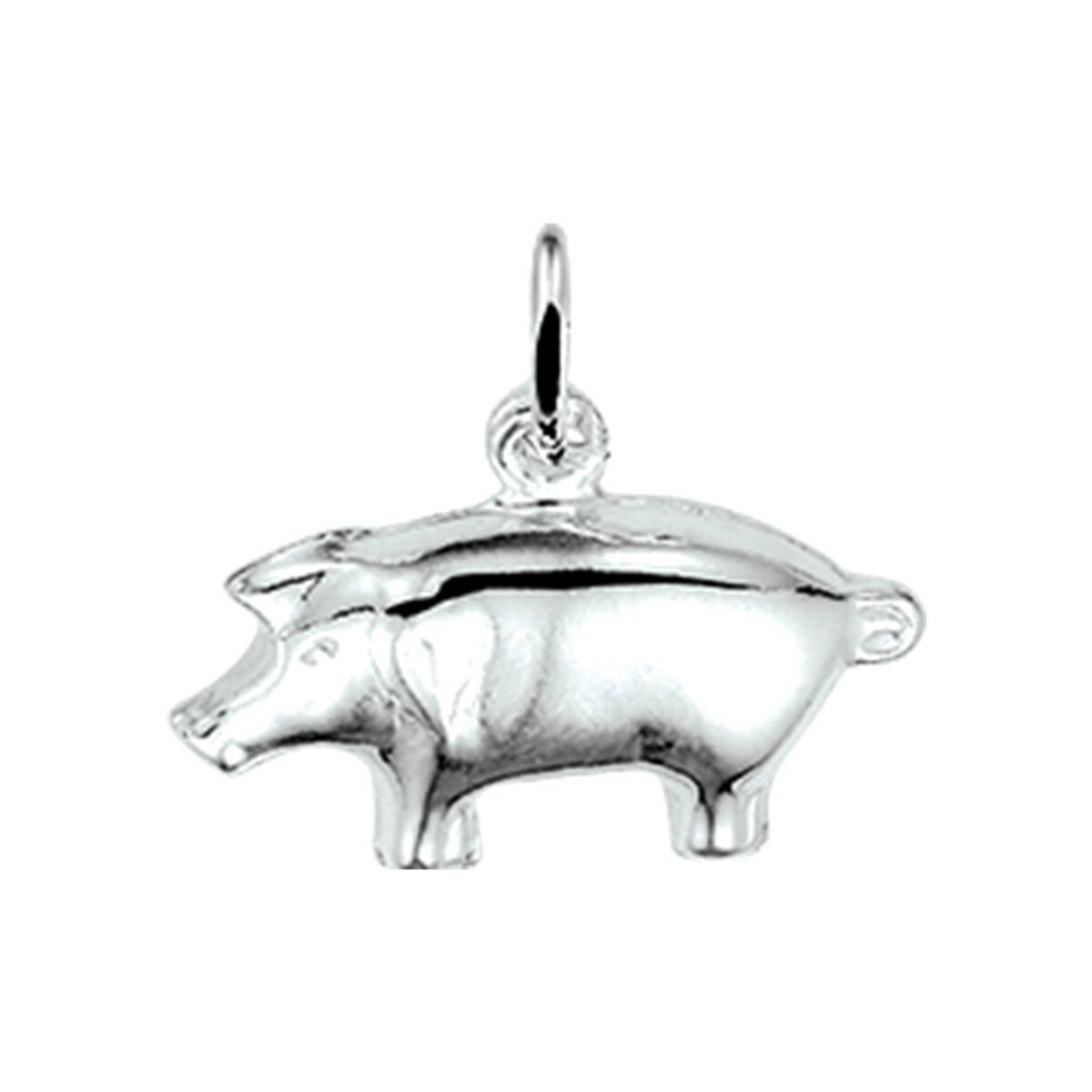 Zilveren Hanger/ Bedel Varken