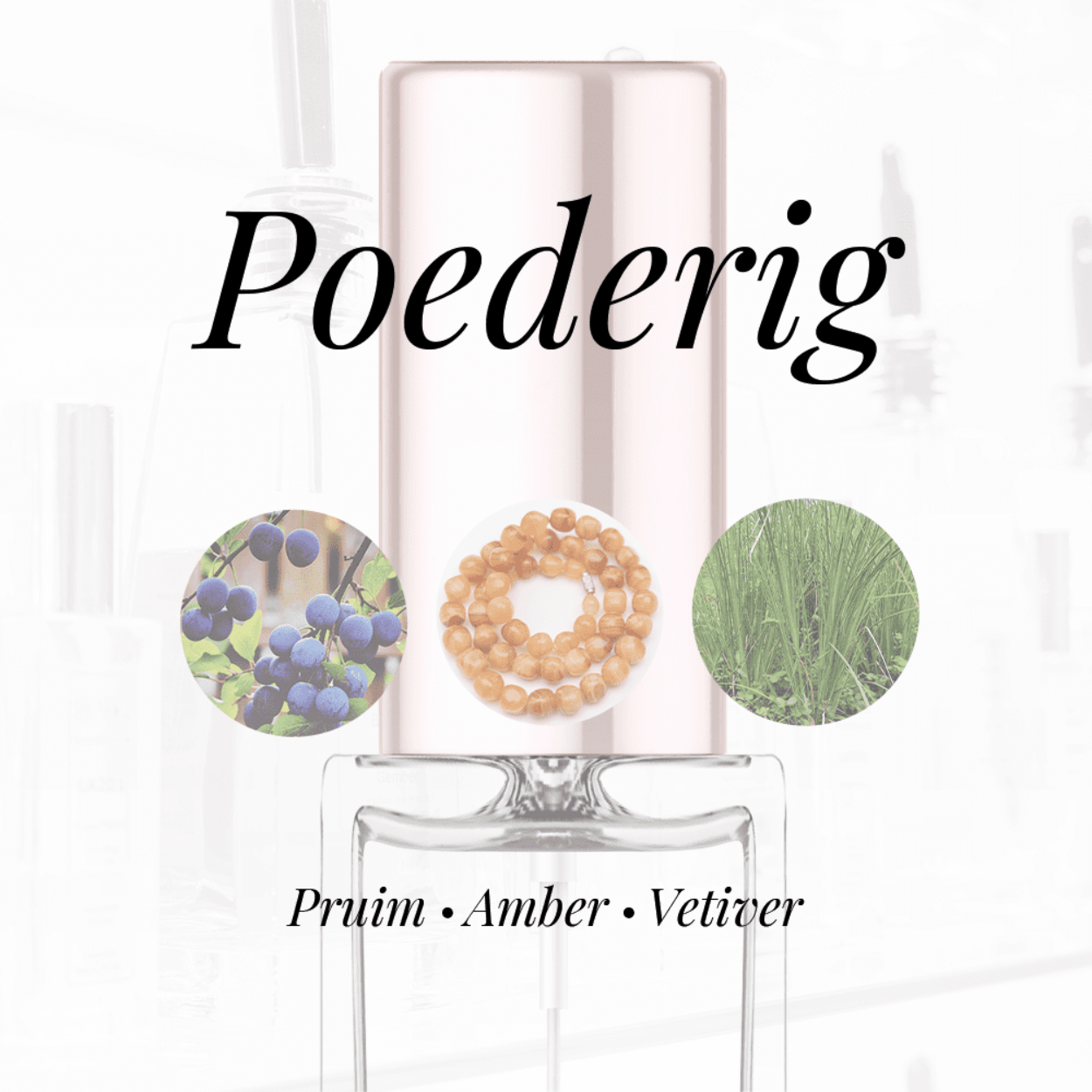 Eigenschappen
Geur: Poederig
Waarneembare geuren: Amber, Pruim, Vetiver
Sillage: Zwaar
Seizoen: Herfst/Winter
Eigenschap: Charmant
Stijl: Stoer
Geurgroep: Oriëntaals Vanille
Hoofdakkoorden: Houtachtig, Poederig, Amber, Bloemig, Groen
Top noten: Pruim, Iris en Saffraan
Midden noten: Bulgaarse Roos, Arabische Jasmijn en Orris wortel
Basis noten: Amber, Vetiver en Papyrusriet