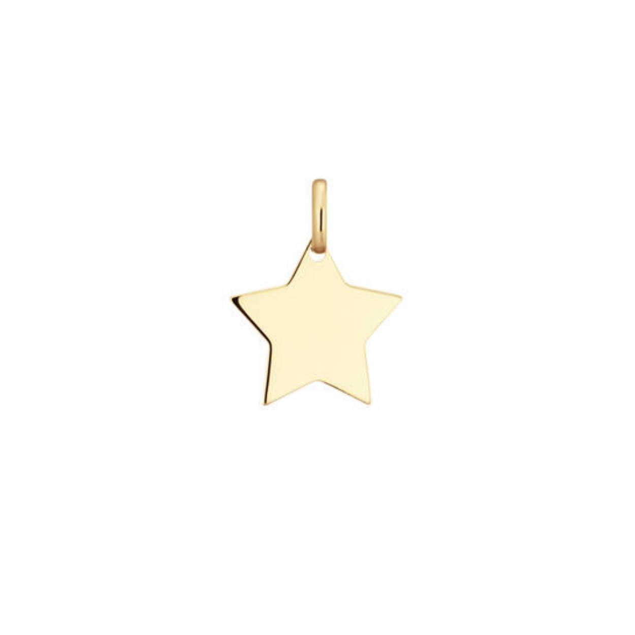 Dit gouden graveerplaatje ster heeft een diameter van 10 mm en is perfect voor het personaliseren van je sieraden. Je kunt ervoor kiezen om het te dragen aan een ketting als hanger of aan een armband als bedel. Het plaatje kan gegraveerd worden met een speciale boodschap of initialen voor een unieke touch. Een veelzijdig en tijdloos stuk dat perfect is voor elke gelegenheid.