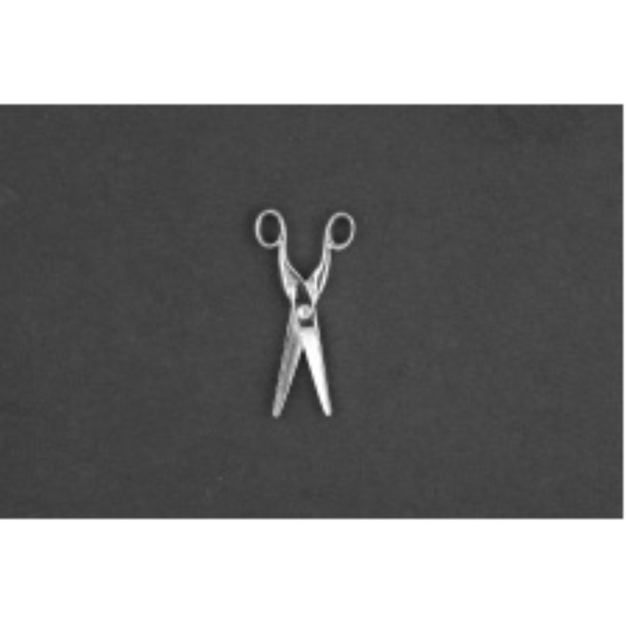 Schaar zilver
De bedel maat is in mm Lengte x Hoogte
± L 11.06 x H 21.73
