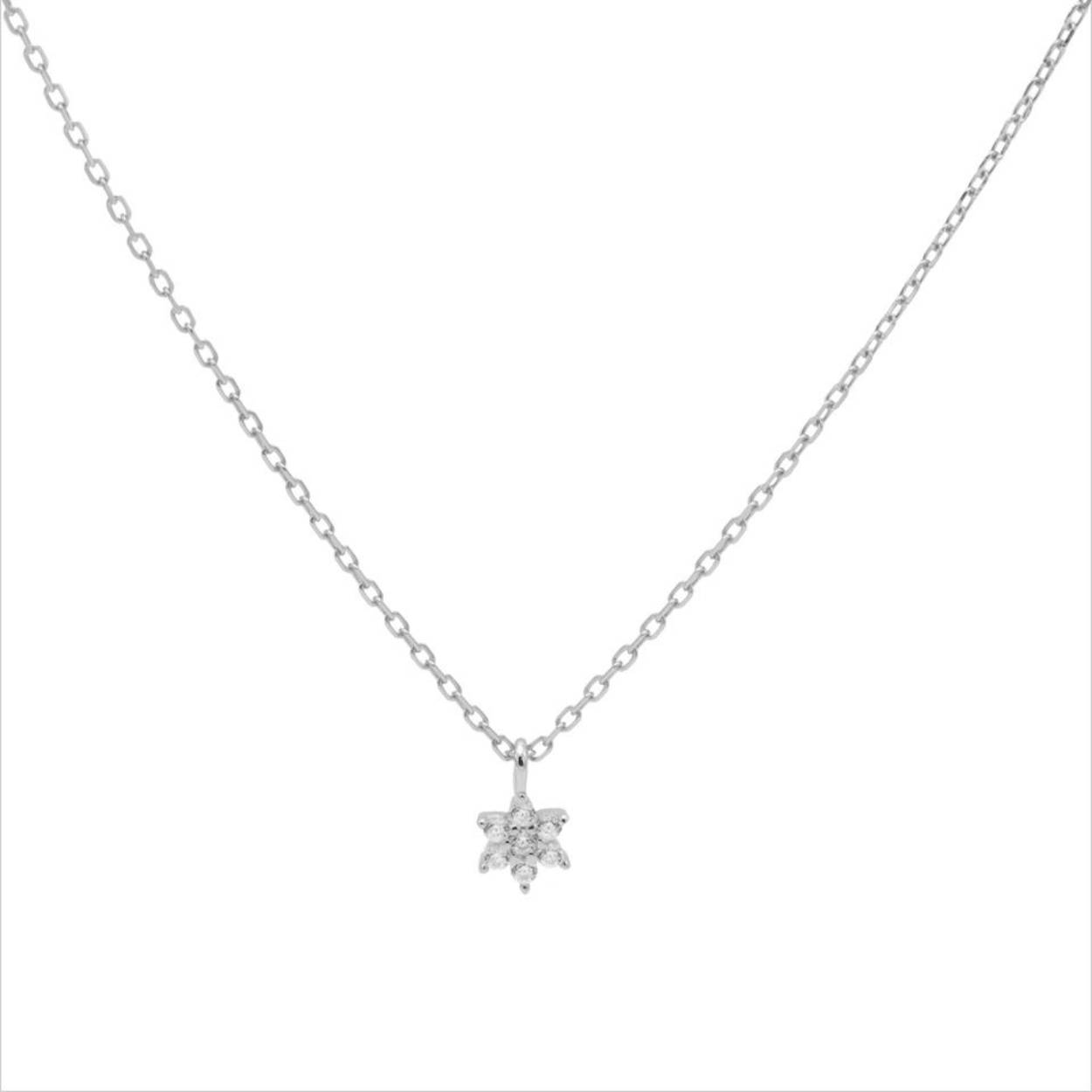Zilveren hanger fantasie entourage hanger cz incl collier