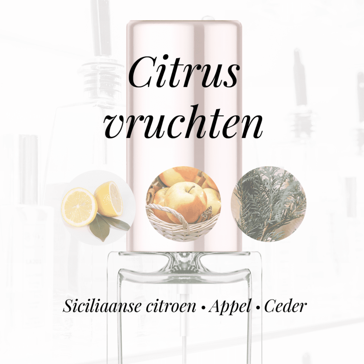 Eigenschappen
Geur: Citrusvruchten
Waarneembare geuren: Appel, Ceder, Siciliaanse citroen
Sillage: Midden
Seizoen: Lente/Zomer
Eigenschap: Vrolijk
Stijl: Sportief
Geurgroep: Bloemig Fruitige
Hoofdakkoorden: Citrusvruchten, Houtachtig, Fris, Fruitig, Aromatisch
Top noten: Appel, Ceder, Klokjesbloem en Siciliaanse citroen
Midden noten: Witte Roos, Bamboe en Jasmijn
Basis noten: Amber, Muskus en Ceder