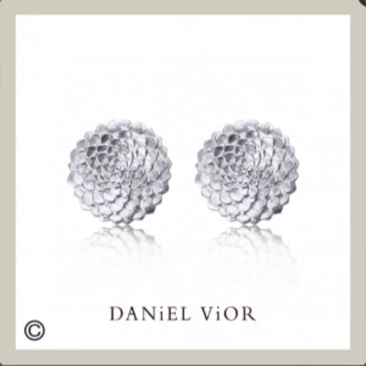 Daniel Vior is een toonaangevend Spaans sieradenmerk uit Barcelona, bekend om zijn handgemaakte en artistieke ontwerpen. Al meer dan twintig jaar cre&euml;ert het merk unieke sieraden die ge&iuml;nspireerd zijn op vormen uit de natuur, botanische elementen en abstracte kunst. De sieraden worden vervaardigd met hoogwaardige materialen zoals zilver, vergulding, kleurig emaille en zorgvuldig geselecteerde stenen.