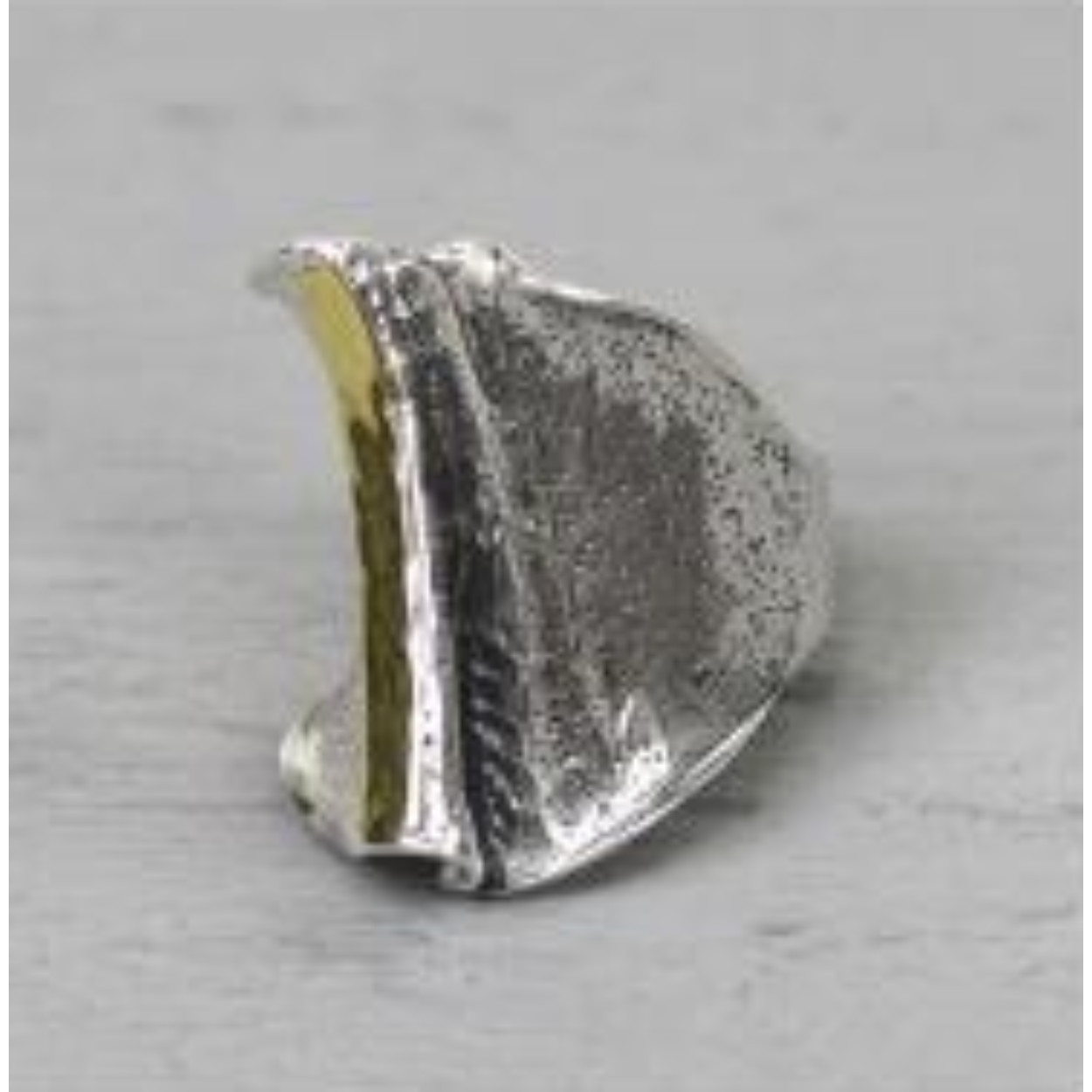 Ring gemaakt van 925 sterling zilver en geoxideerd zilver. De ring is aan de voorkant breder dan aan de achterkant. Aan de voorkant zit een verticale bang van 9 karaat..

Materiaal: 925 sterling zilver
De glans van 925 sterling zilver maakt het een gewild edelmetaal voor de vervaardiging van sieraden. Het bestaat uit 92,5% puur zilver en 7,5% koper. Puur zilver is een zacht en buigzaam materiaal, het koper in 925 sterling zilver zorgt voor de stevigheid. De sieraden van Jéh Jewels zijn nikkel vrij.

Materiaal: 9 karaat
De term karaat geeft aan hoeveel puur goud er per duizend delen in een sieraad zitten. Hoe hoger deze waarde, hoe meer goud. In een sieraad van 9 karaat zitten 337,5 delen goud.