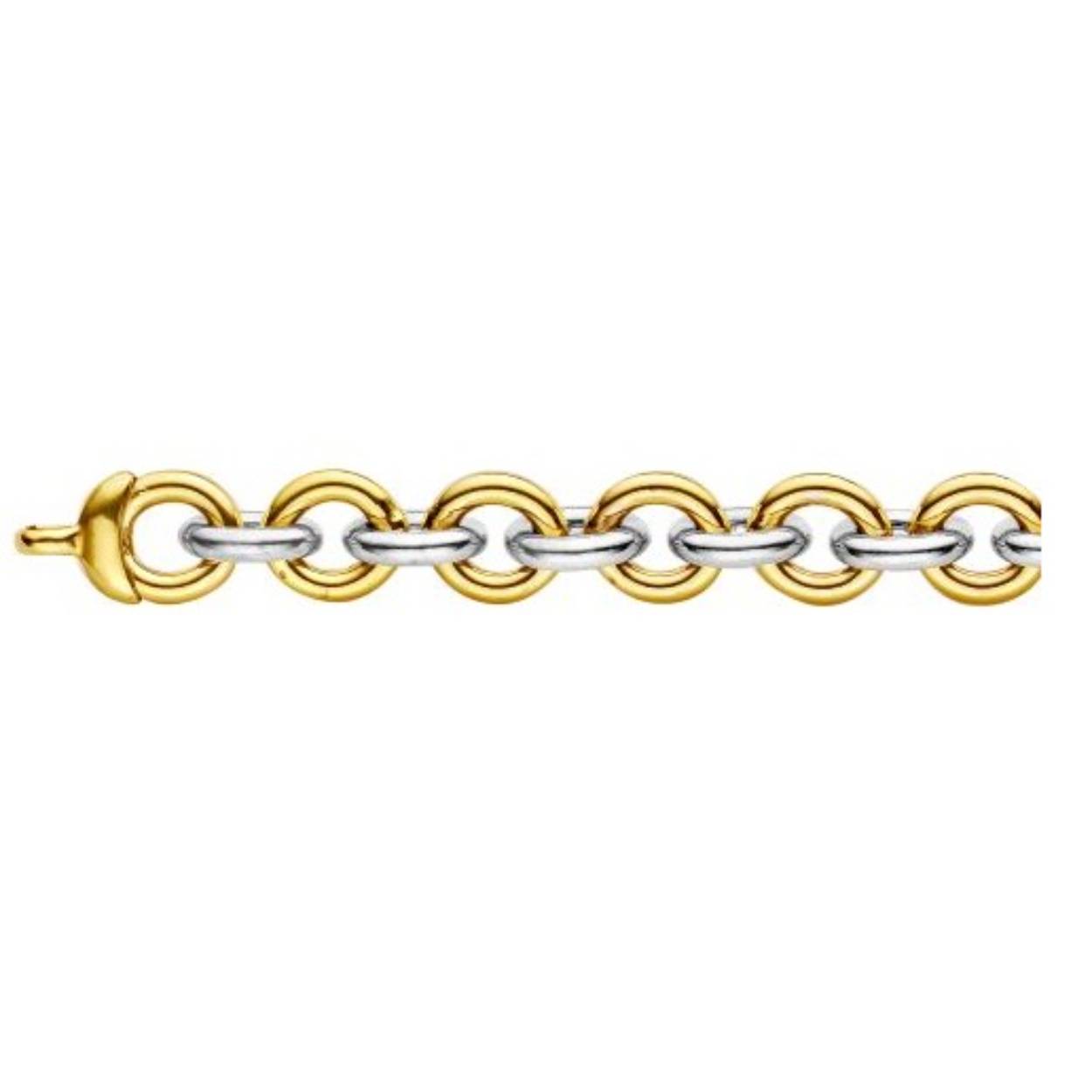 Prachtige 14krt 10mm bicolor anker armband van het merk Fjory. 

Fjory wordt geroemd om de kwaliteit van haar gouden sieraden. Het productieproces van Fjory bestaat uit authentiek handwerk, dat niet alleen ongekende kwaliteit maar ook ultiem draagplezier garandeert. De sieraden worden vervaardigd met 14-karaats goud en hebben een kern van zilver. Fjory bewijst met haar collecties dat authentiek Nederlands vakmanschap goed mogelijk is tegen een uitstekende prijs-kwaliteitverhouding.  

De lengte van de armband is 22cm