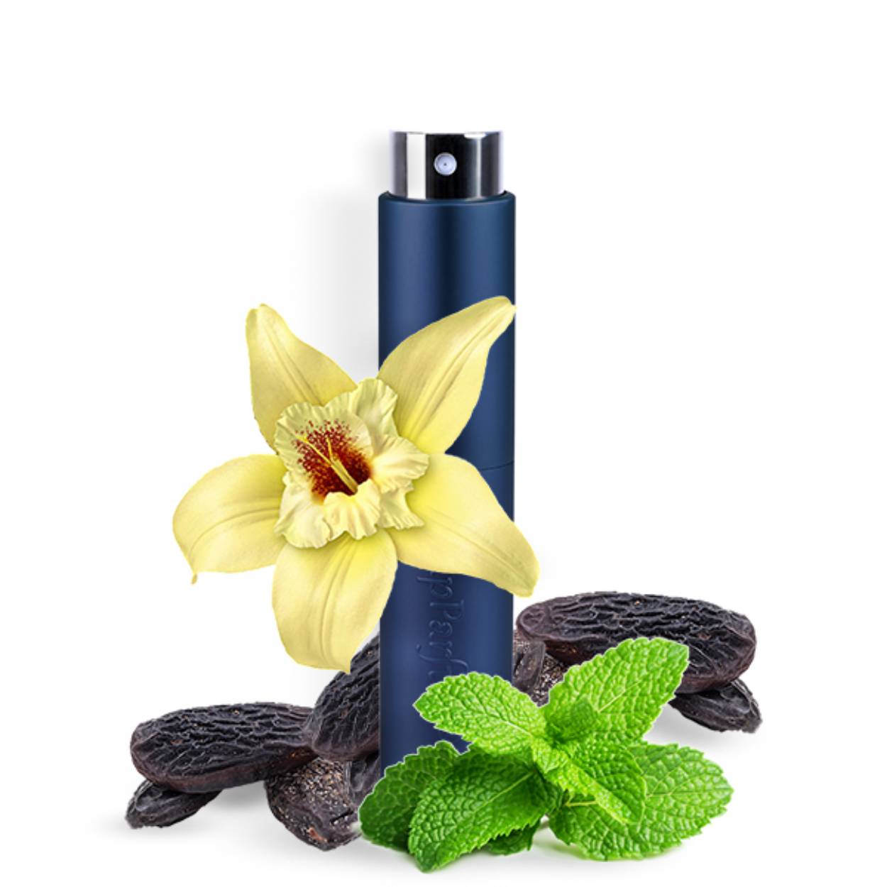 LE301 is een heren parfum die in de Aromatisch Fougere categorie valt met het hoofdakkoord aromatisch. De duidelijkst waarneembare geurnoten zijn madagascar vanille, munt en tonkaboon. Het sillage van dit heren parfum wordt omschreven als zwaar. 

De stijl die het beste de LE301 omschrijft is stoer en de eigenschap van dit parfum kan het beste omschreven worden als charmant.
Geur belevenis

Dit is de olfactorische pyramide van LE301

De topnoten blijven ongeveer 15 minuten duidelijk aanwezig, daarna zullen de midden noten zich verder manifesteren. Na ongeveer 4 a 5 uur komen de basisnoten van dit parfum duidelijker naar voren.

De volgende akkoorden zul je duidelijk ruiken in dit parfum aromatisch, groen, vanille, fris kruidig, houtachtig.

De gehele olfactorische pyramide, het sillage die gegradeerd is als zwaar, en de duidelijkst waarneembare geurnoten madagascar vanille, munt, tonkaboon, maken dit een parfum die perfect is voor lente, zomer, herfst, winter.

Ben jij stoer en charmant, of zijn dit eigenschappen die je graag uit wilt stralen?! Dan is LE301 wellicht perfect voor jou! Wil je ook een andere parfum proberen? Kijk dan eens bij LE502 of LE321.