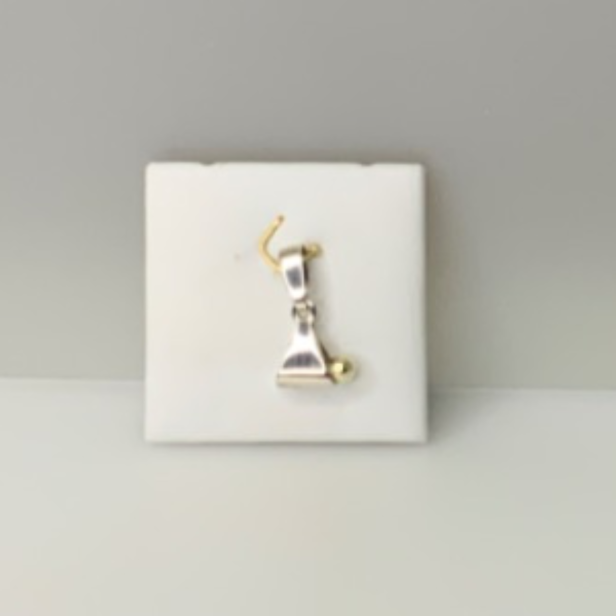 Zilver met goud hanger