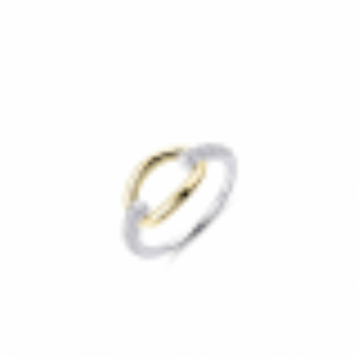 R407Y ring zilver double