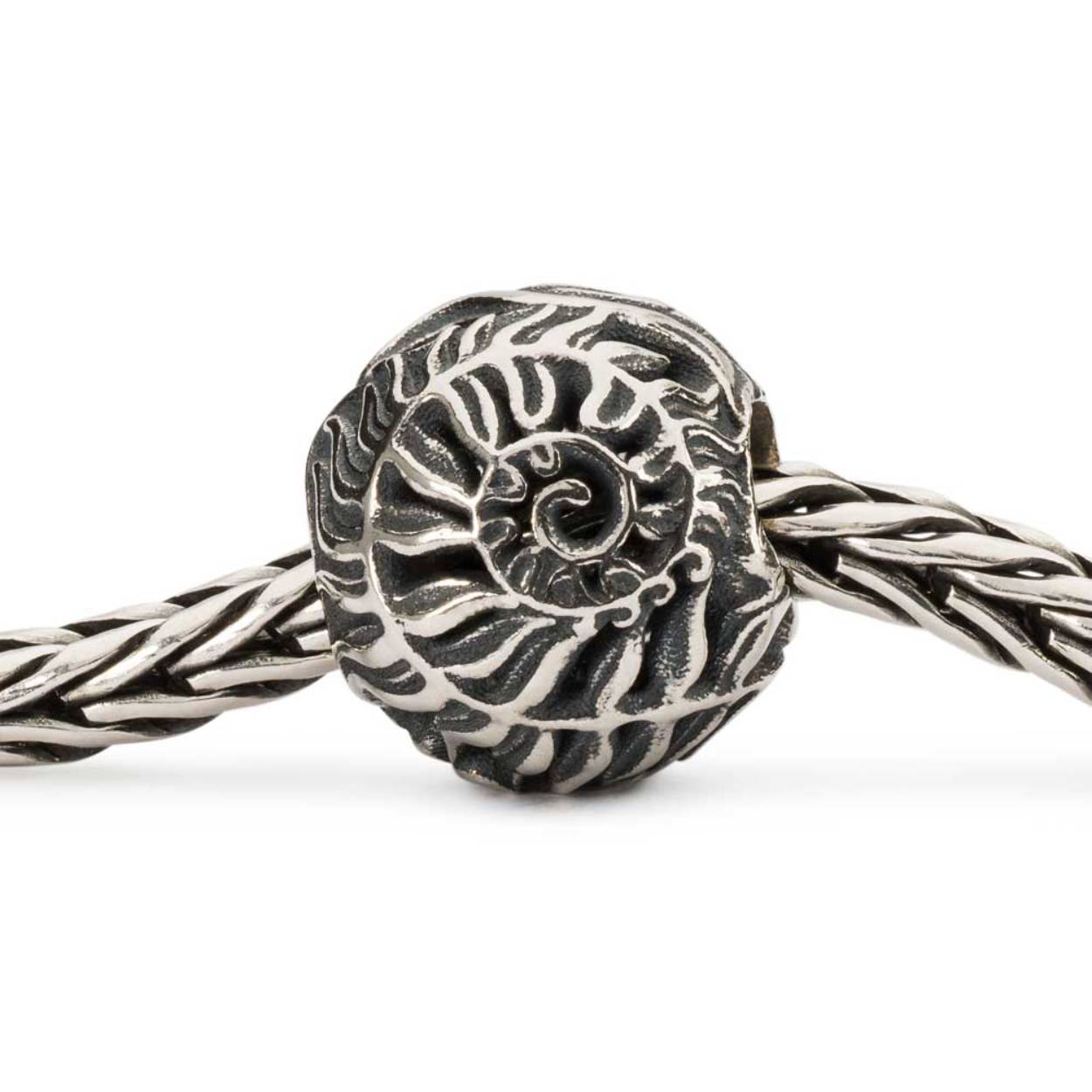 Varen

Je moet de varen tot bloei zien komen om geluk te vinden.