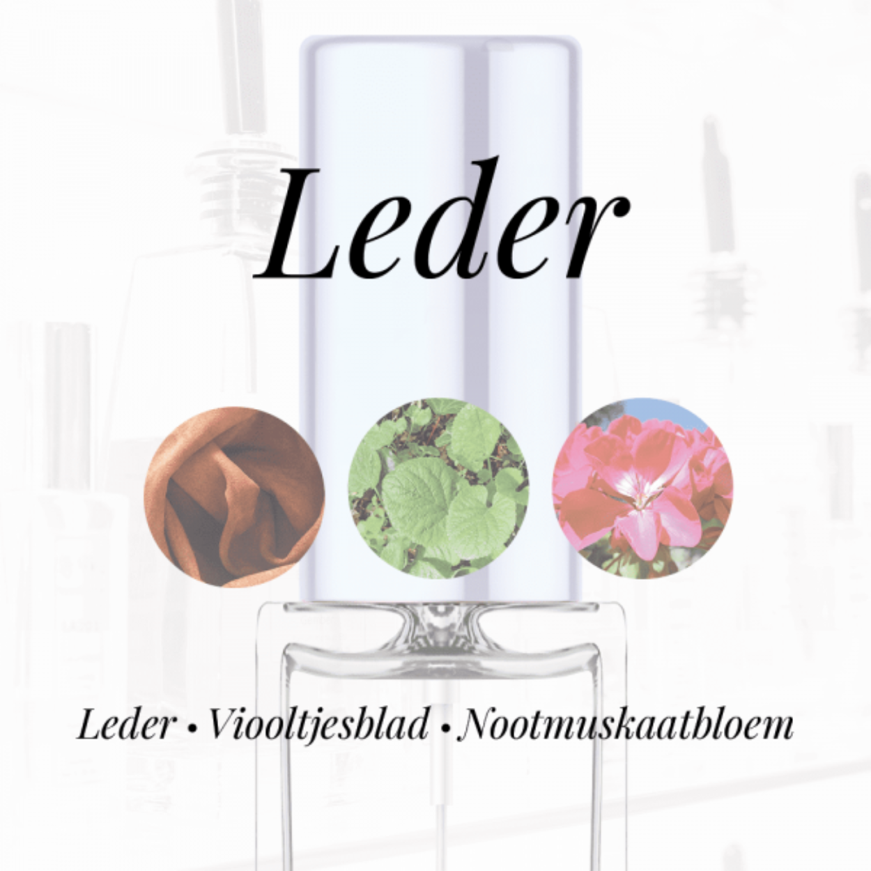 EIGENSCHAPPEN
Geur: Leder
Waarneembare geuren: Leder, Nootmuskaatbloem, Viooltjesblad
Sillage: Zwaar
Seizoen: Herfst, Winter
Eigenschap: Charmant
Stijl: Smart
Geurgroep: Houtachtig Bloemig Musk
Hoofdakkoorden: Leer, Aromatisch, Houtachtig, Fris, kruidig, Ozonisch, Bloemig
Top noten: Lavendel, Mandarijn, Hagedoorn, Nootmuskaatbloem, Ceder, Bergamot, Kamille en Citroen
Midden noten: Nootmuskaat, Kamperfoelie, Anjer, Sandelhout, Viooltjesblad, Jasmijn, Lelietje-van-dalen en Ceder
Basis noten: Leder, Tonkaboon, Amber, Patchouli, Muskus en Vetiver