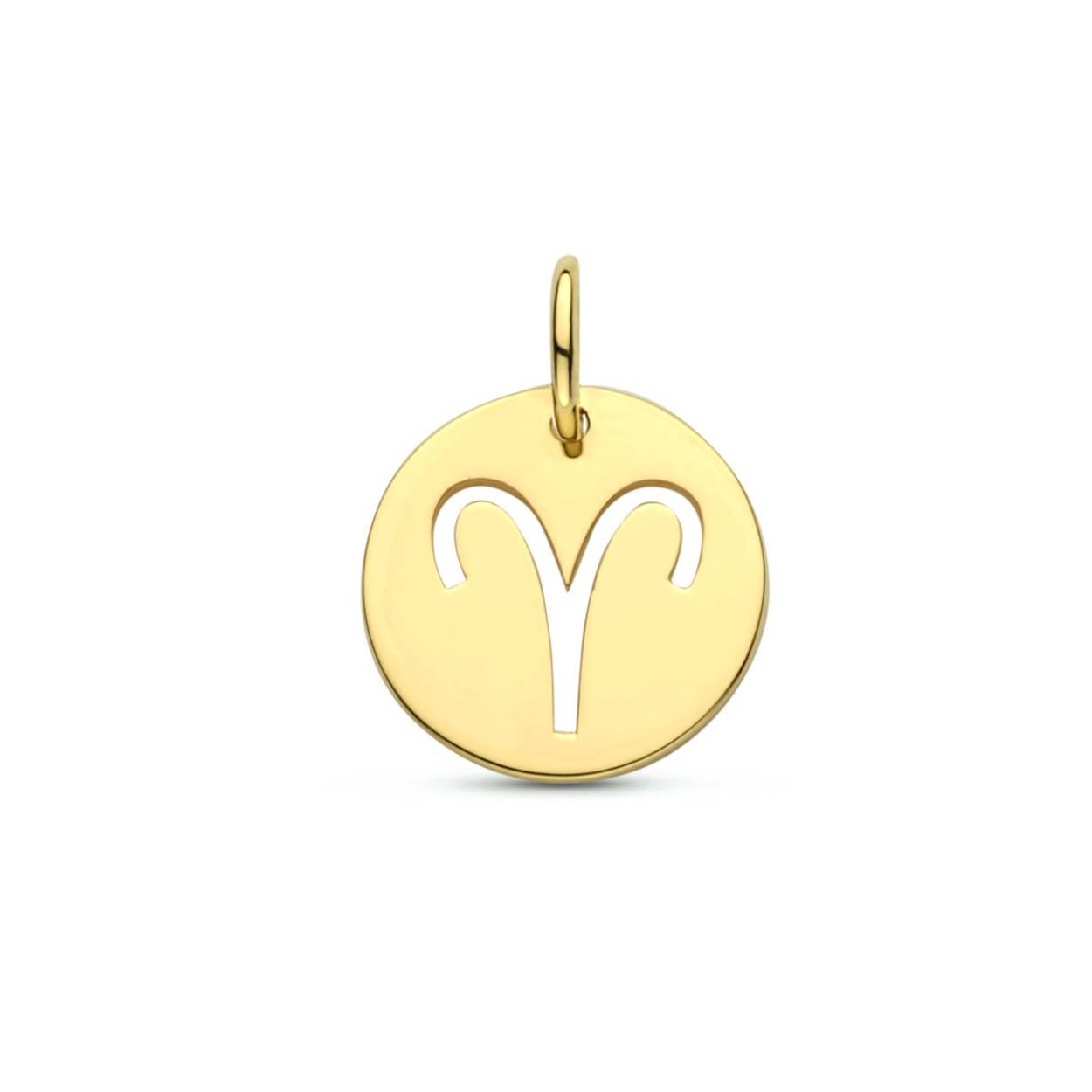 14k Geelgouden hanger uitgevoerd met een sterrenbeeld. De hanger heeft een totale hoogte van 1.3cm en een diameter van 10mm. Alle sterrenbeelden zijn verkrijgbaar! 