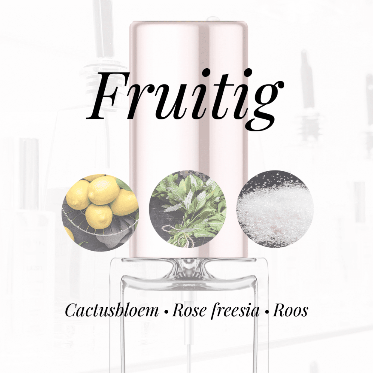 Eigenschappen
Geur: Houtachtig
Waarneembare geuren: Cactusbloem, Roos, Rose freesia
Sillage: Midden
Seizoen: Lente/Zomer
Eigenschap: Vrolijk
Stijl: Stoer
Geurgroep: Bloemige
Hoofdakkoorden: Houtachtig, Bloemig, Groen, Roos, Witte bloemen, Fris Kruidig
Top noten: Cactusbloem
Midden noten: Rose Fresia, Jasmijn en Roos
Basis noten: Ceder en Hout Noten
