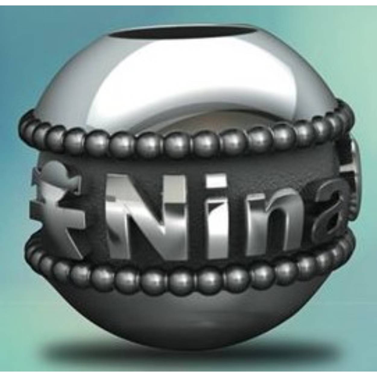 Naamkraal parelrand past op Trollbeads
