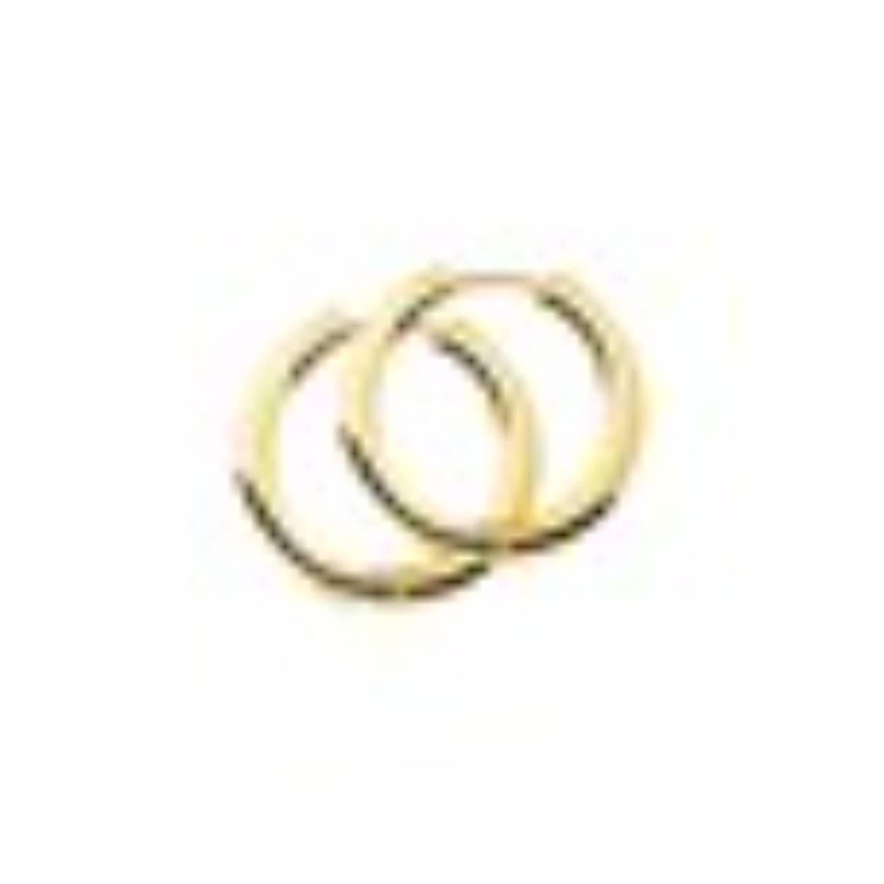 14k geelgouden oorringen rond