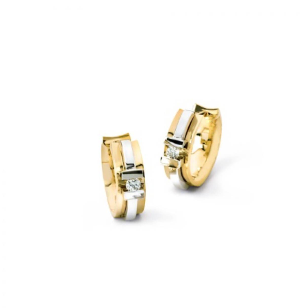 Oorsieraden Delfine