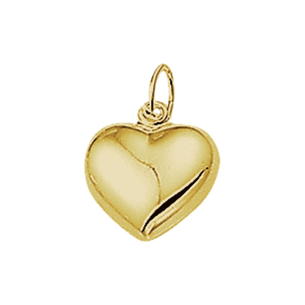 Geelgouden hanger met een hart van 10x10.5mm en uitgevoerd met een stevig hangoog. De hanger is ook verkrijgbaar in het wigoud.
