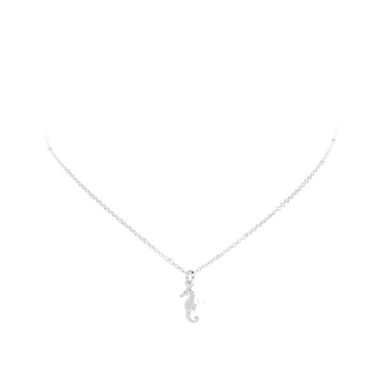 collier zeepaardje