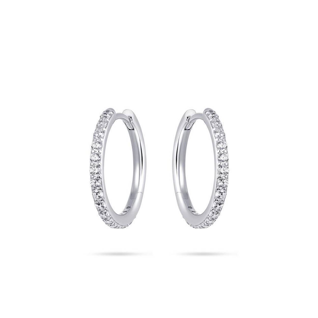 Mooie oorringen , met zirkonia in zilver. 