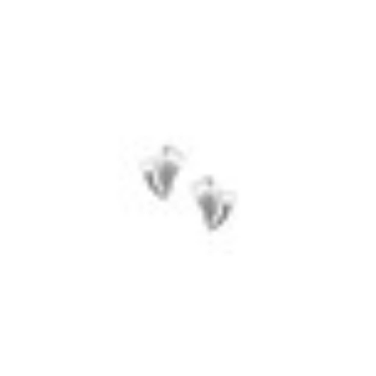 zilver gerhodineerd oorknop