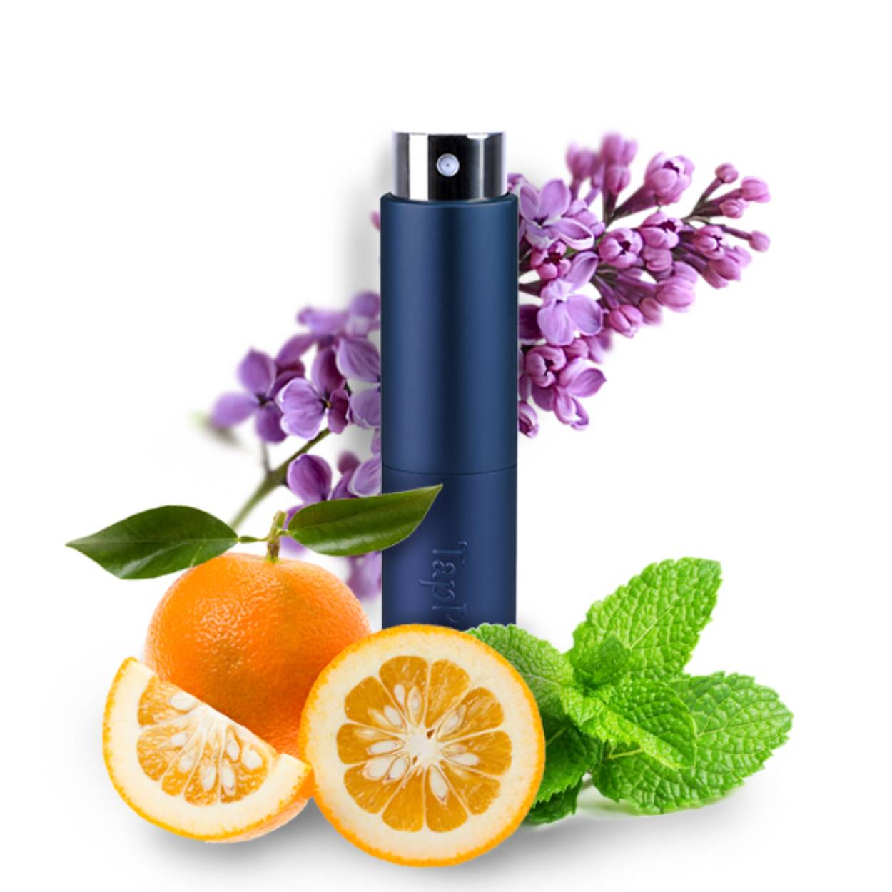 LE337 is een heren parfum die in de Citrus Aromatisch categorie valt met het hoofdakkoord aromatisch. De duidelijkst waarneembare geurnoten zijn lavendel, munt en pomerans. Het sillage van dit heren parfum wordt omschreven als midden. 

De stijl die het beste de LE337 omschrijft is smart en de eigenschap van dit parfum kan het beste omschreven worden als comfort.
