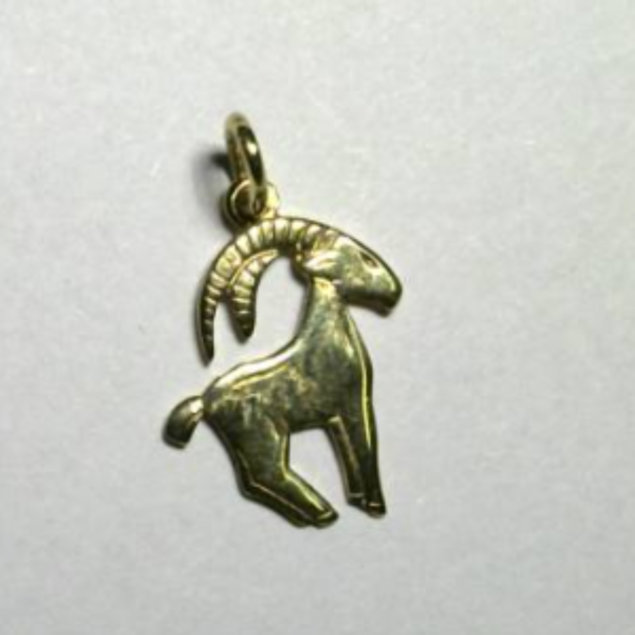 Gouden sterrenbeeld steenbok