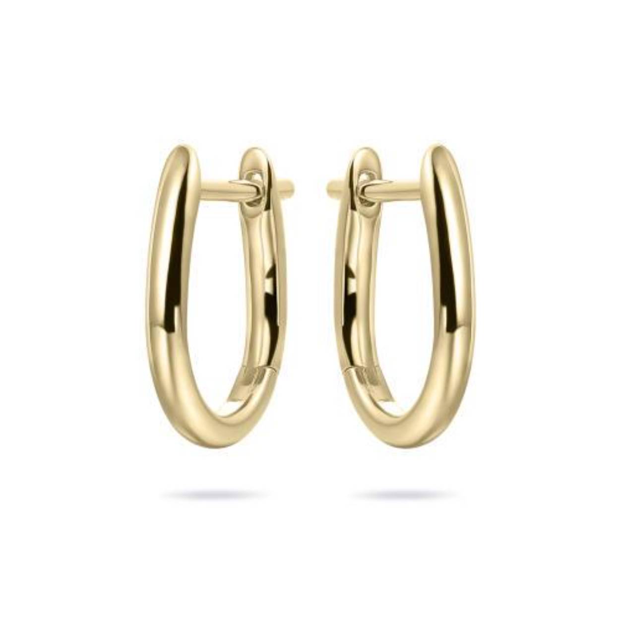Oorbellen zilver verguld ringen ovaal