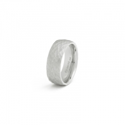 Prachtige titanium ring van het merk Gemini