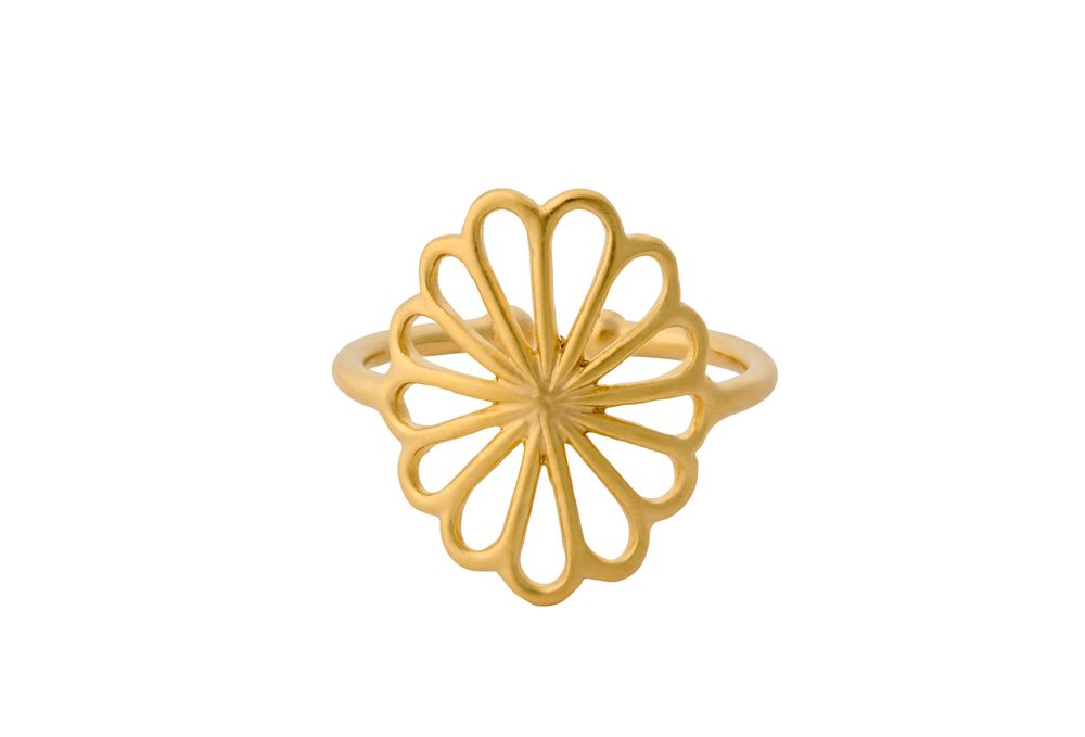 ring is maat 55 ,maar verstelbaar